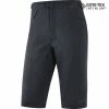 GOREWEAR STORM SHORTS HOMME Short Vélo -Pantalons Vélo Soldes 8F6D403B69FA843D89DDB4A8DDB8E602